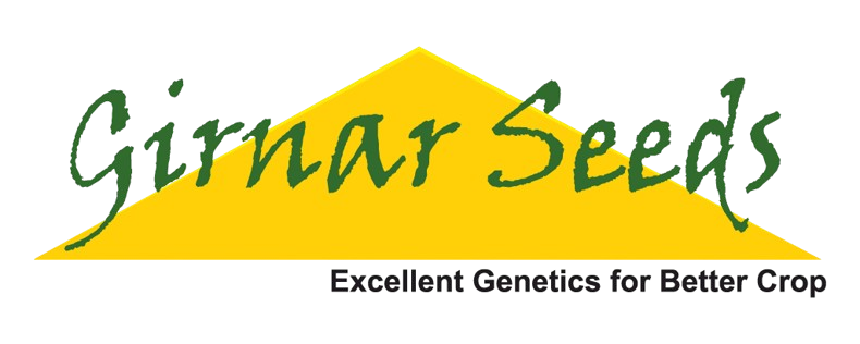 Girnar Seeds